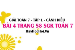 Giải bài 4 trang 58 Toán 7 Tập 1 SGK Cánh Diều